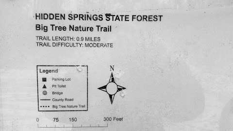 Big Tree Nature Trail